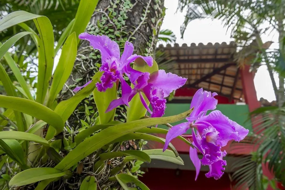 ** Guest house Suites De Charme Amoremio Porto Seguro Brazil